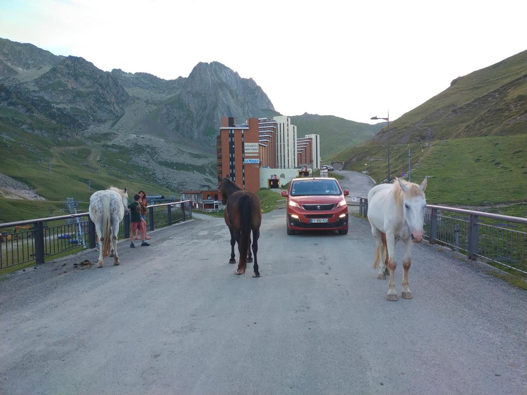 Le Petit Studio Du Tourmalet Pied Des Pistes - La Mongie Esterno foto